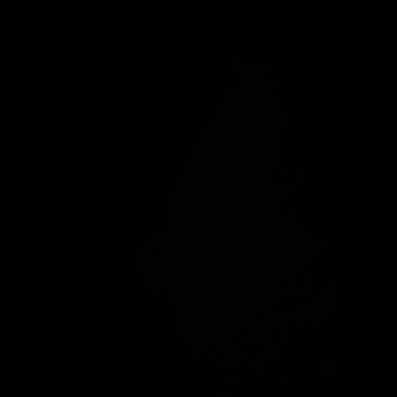 Meet your Posher, Antonella - Picture 1 of 1